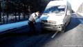 Маршрутка, ехавшая из Мозыря в Минск, сбила двух кабанов